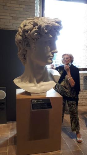 David di Michelangelo particolare della testa