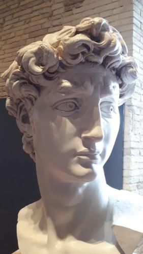 Uici-Grosseto-Museo-Omero-Ancona-Particolare-David-Michelangelo